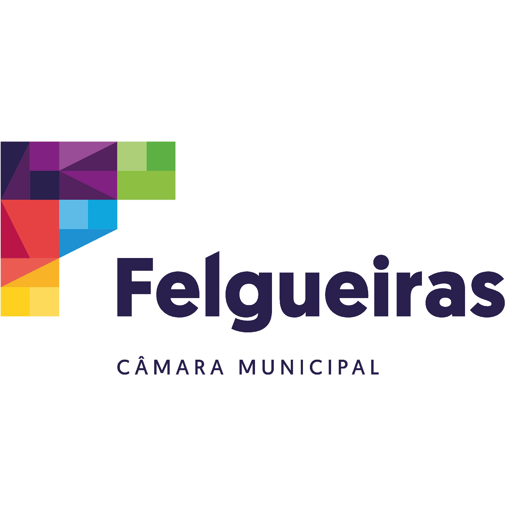 Logotipo-Município de Felgueiras